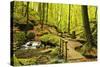 Karlstal Gorge, Near Trippstadt, Palatinate Forest, Rhineland-Palatinate, Germany, Europe-Jochen Schlenker-Stretched Canvas
