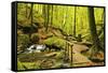 Karlstal Gorge, Near Trippstadt, Palatinate Forest, Rhineland-Palatinate, Germany, Europe-Jochen Schlenker-Framed Stretched Canvas