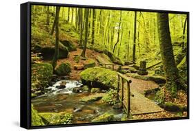 Karlstal Gorge, Near Trippstadt, Palatinate Forest, Rhineland-Palatinate, Germany, Europe-Jochen Schlenker-Framed Stretched Canvas