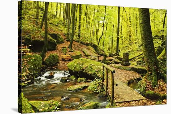 Karlstal Gorge, Near Trippstadt, Palatinate Forest, Rhineland-Palatinate, Germany, Europe-Jochen Schlenker-Stretched Canvas