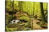 Karlstal Gorge, Near Trippstadt, Palatinate Forest, Rhineland-Palatinate, Germany, Europe-Jochen Schlenker-Stretched Canvas