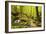 Karlstal Gorge, Near Trippstadt, Palatinate Forest, Rhineland-Palatinate, Germany, Europe-Jochen Schlenker-Framed Photographic Print