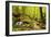 Karlstal Gorge, Near Trippstadt, Palatinate Forest, Rhineland-Palatinate, Germany, Europe-Jochen Schlenker-Framed Photographic Print