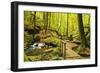 Karlstal Gorge, Near Trippstadt, Palatinate Forest, Rhineland-Palatinate, Germany, Europe-Jochen Schlenker-Framed Photographic Print