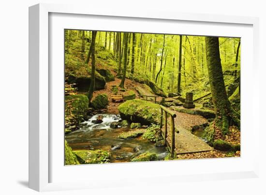 Karlstal Gorge, Near Trippstadt, Palatinate Forest, Rhineland-Palatinate, Germany, Europe-Jochen Schlenker-Framed Photographic Print