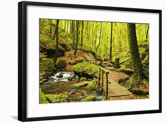 Karlstal Gorge, Near Trippstadt, Palatinate Forest, Rhineland-Palatinate, Germany, Europe-Jochen Schlenker-Framed Photographic Print