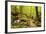 Karlstal Gorge, Near Trippstadt, Palatinate Forest, Rhineland-Palatinate, Germany, Europe-Jochen Schlenker-Framed Photographic Print