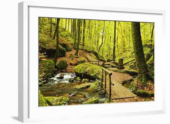 Karlstal Gorge, Near Trippstadt, Palatinate Forest, Rhineland-Palatinate, Germany, Europe-Jochen Schlenker-Framed Photographic Print