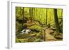 Karlstal Gorge, Near Trippstadt, Palatinate Forest, Rhineland-Palatinate, Germany, Europe-Jochen Schlenker-Framed Photographic Print