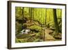 Karlstal Gorge, Near Trippstadt, Palatinate Forest, Rhineland-Palatinate, Germany, Europe-Jochen Schlenker-Framed Photographic Print