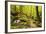 Karlstal Gorge, Near Trippstadt, Palatinate Forest, Rhineland-Palatinate, Germany, Europe-Jochen Schlenker-Framed Photographic Print