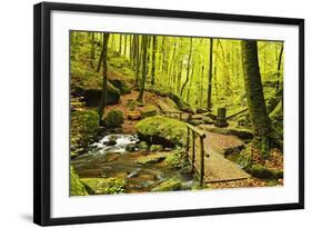 Karlstal Gorge, Near Trippstadt, Palatinate Forest, Rhineland-Palatinate, Germany, Europe-Jochen Schlenker-Framed Photographic Print