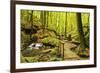 Karlstal Gorge, Near Trippstadt, Palatinate Forest, Rhineland-Palatinate, Germany, Europe-Jochen Schlenker-Framed Photographic Print