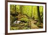 Karlstal Gorge, Near Trippstadt, Palatinate Forest, Rhineland-Palatinate, Germany, Europe-Jochen Schlenker-Framed Photographic Print