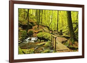 Karlstal Gorge, Near Trippstadt, Palatinate Forest, Rhineland-Palatinate, Germany, Europe-Jochen Schlenker-Framed Photographic Print