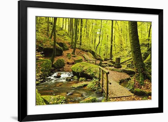 Karlstal Gorge, Near Trippstadt, Palatinate Forest, Rhineland-Palatinate, Germany, Europe-Jochen Schlenker-Framed Photographic Print