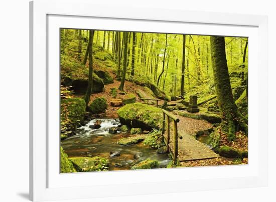 Karlstal Gorge, Near Trippstadt, Palatinate Forest, Rhineland-Palatinate, Germany, Europe-Jochen Schlenker-Framed Photographic Print