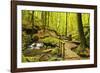 Karlstal Gorge, Near Trippstadt, Palatinate Forest, Rhineland-Palatinate, Germany, Europe-Jochen Schlenker-Framed Photographic Print