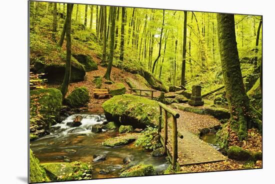 Karlstal Gorge, Near Trippstadt, Palatinate Forest, Rhineland-Palatinate, Germany, Europe-Jochen Schlenker-Mounted Photographic Print
