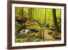 Karlstal Gorge, Near Trippstadt, Palatinate Forest, Rhineland-Palatinate, Germany, Europe-Jochen Schlenker-Framed Photographic Print