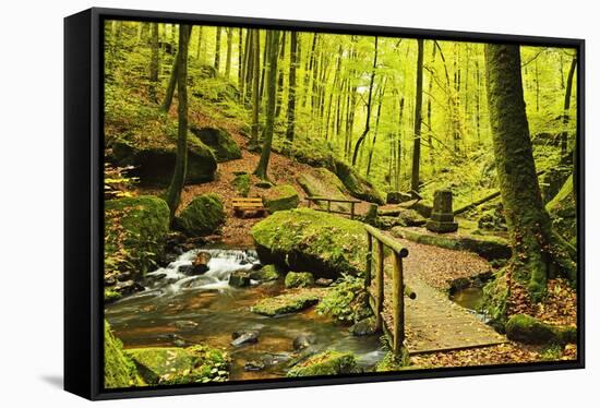 Karlstal Gorge, Near Trippstadt, Palatinate Forest, Rhineland-Palatinate, Germany, Europe-Jochen Schlenker-Framed Stretched Canvas