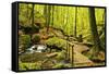 Karlstal Gorge, Near Trippstadt, Palatinate Forest, Rhineland-Palatinate, Germany, Europe-Jochen Schlenker-Framed Stretched Canvas