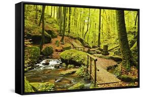 Karlstal Gorge, Near Trippstadt, Palatinate Forest, Rhineland-Palatinate, Germany, Europe-Jochen Schlenker-Framed Stretched Canvas