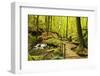 Karlstal Gorge, Near Trippstadt, Palatinate Forest, Rhineland-Palatinate, Germany, Europe-Jochen Schlenker-Framed Premium Photographic Print