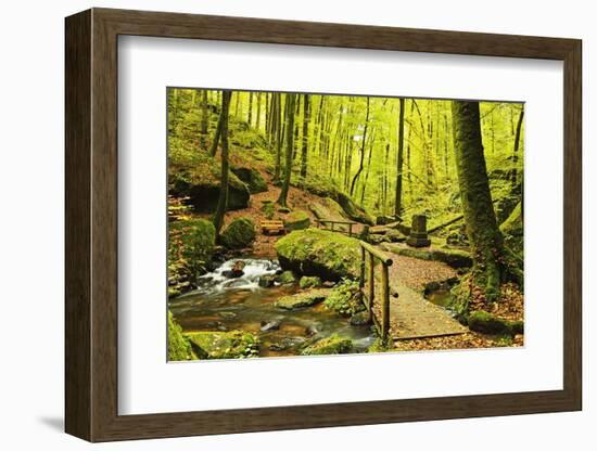 Karlstal Gorge, Near Trippstadt, Palatinate Forest, Rhineland-Palatinate, Germany, Europe-Jochen Schlenker-Framed Photographic Print