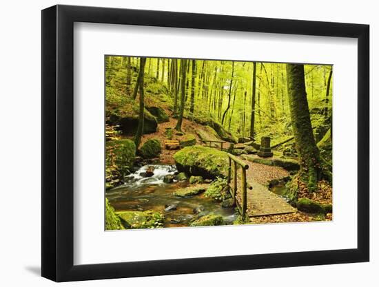 Karlstal Gorge, Near Trippstadt, Palatinate Forest, Rhineland-Palatinate, Germany, Europe-Jochen Schlenker-Framed Photographic Print