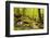 Karlstal Gorge, Near Trippstadt, Palatinate Forest, Rhineland-Palatinate, Germany, Europe-Jochen Schlenker-Framed Photographic Print