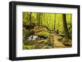 Karlstal Gorge, Near Trippstadt, Palatinate Forest, Rhineland-Palatinate, Germany, Europe-Jochen Schlenker-Framed Photographic Print