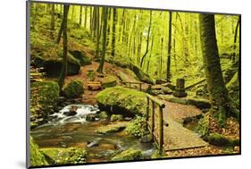 Karlstal Gorge, Near Trippstadt, Palatinate Forest, Rhineland-Palatinate, Germany, Europe-Jochen Schlenker-Mounted Photographic Print