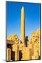 Karnak, Luxor, Egypt. Obelisk of Queen Hatshepsut at the Karnak Temple Complex.-Emily Wilson-Mounted Photographic Print