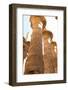 Karnak Temple. Dedicated to Amun, Mut and Khonsu. Luxor, Egypt.-Tom Norring-Framed Photographic Print