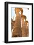 Karnak Temple. Dedicated to Amun, Mut and Khonsu. Luxor, Egypt.-Tom Norring-Framed Photographic Print