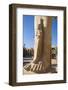 Karnak Temple, UNESCO World Heritage Site, near Luxor, Egypt, North Africa, Africa-Jane Sweeney-Framed Photographic Print