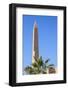 Karnak Temple, UNESCO World Heritage Site, near Luxor, Egypt, North Africa, Africa-Jane Sweeney-Framed Photographic Print