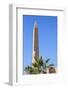 Karnak Temple, UNESCO World Heritage Site, near Luxor, Egypt, North Africa, Africa-Jane Sweeney-Framed Photographic Print