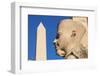 Karnak Temple, UNESCO World Heritage Site, near Luxor, Egypt, North Africa, Africa-Jane Sweeney-Framed Photographic Print