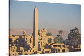 Karnak Temple, UNESCO World Heritage Site, near Luxor, Egypt, North Africa, Africa-Jane Sweeney-Stretched Canvas