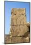 Karnak Temple, UNESCO World Heritage Site, near Luxor, Egypt, North Africa, Africa-Jane Sweeney-Mounted Photographic Print