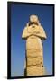 Karnak Temple, UNESCO World Heritage Site, near Luxor, Egypt, North Africa, Africa-Jane Sweeney-Framed Photographic Print