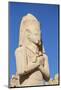Karnak Temple, UNESCO World Heritage Site, Thebes, Egypt, North Africa, Africa-Jane Sweeney-Mounted Photographic Print