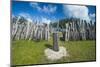 Karnak tribal compund, Saint Joseph, Ouvea, Loyalty Islands, New Caledonia, Pacific-Michael Runkel-Mounted Photographic Print