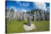 Karnak tribal compund, Saint Joseph, Ouvea, Loyalty Islands, New Caledonia, Pacific-Michael Runkel-Stretched Canvas