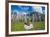 Karnak tribal compund, Saint Joseph, Ouvea, Loyalty Islands, New Caledonia, Pacific-Michael Runkel-Framed Photographic Print