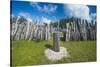 Karnak tribal compund, Saint Joseph, Ouvea, Loyalty Islands, New Caledonia, Pacific-Michael Runkel-Stretched Canvas