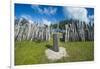 Karnak tribal compund, Saint Joseph, Ouvea, Loyalty Islands, New Caledonia, Pacific-Michael Runkel-Framed Photographic Print