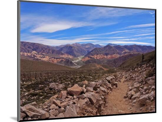 Photographic Print, , large